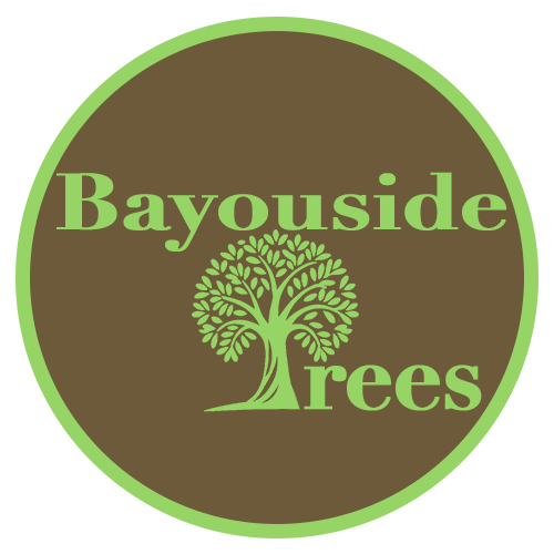 Bayouside Trees